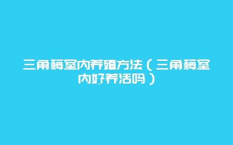 三角梅室内养殖方法（三角梅室内好养活吗）