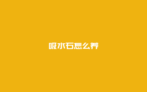 吸水石怎么养