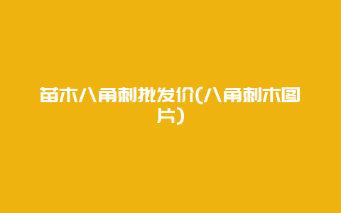 苗木八角刺批发价(八角刺木图片)