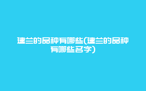 建兰的品种有哪些(建兰的品种有哪些名字)