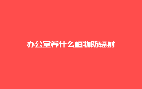 办公室养什么植物防辐射