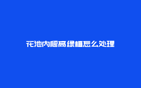 花池内爬高绿植怎么处理