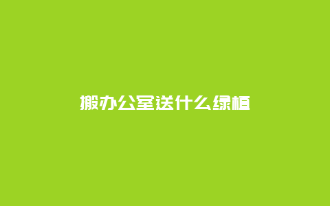 搬办公室送什么绿植