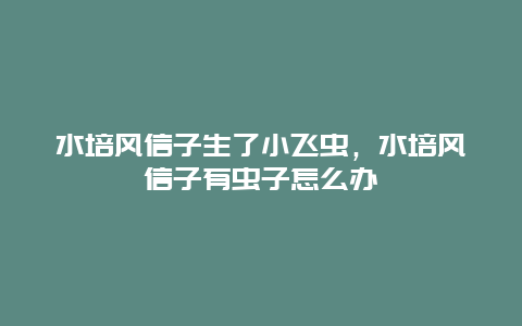 水培风信子生了小飞虫，水培风信子有虫子怎么办