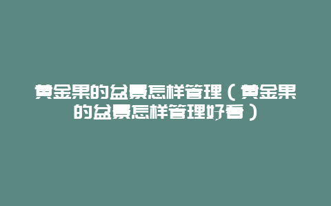 黄金果的盆景怎样管理（黄金果的盆景怎样管理好看）