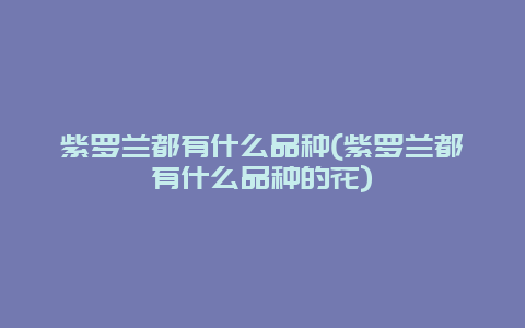 紫罗兰都有什么品种(紫罗兰都有什么品种的花)