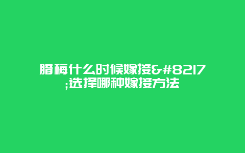 腊梅什么时候嫁接’选择哪种嫁接方法