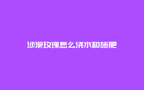 沙漠玫瑰怎么浇水和施肥