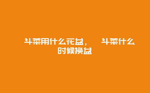 耧斗菜用什么花盆，耧斗菜什么时候换盆