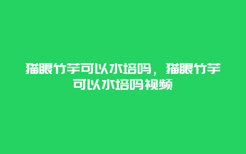 猫眼竹芋可以水培吗，猫眼竹芋可以水培吗视频