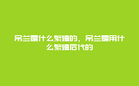 吊兰是什么繁殖的，吊兰是用什么繁殖后代的