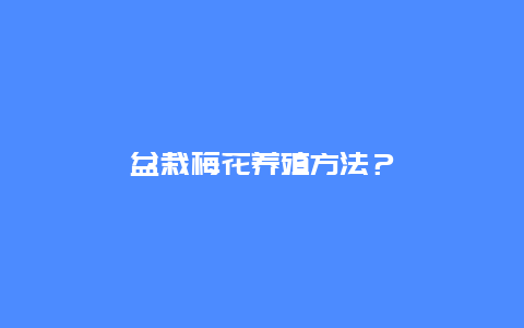 盆栽梅花养殖方法？