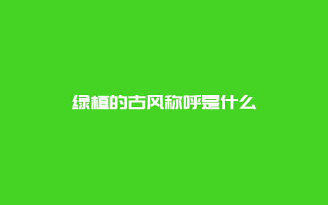 绿植的古风称呼是什么