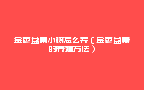 金枣盆景小树怎么养（金枣盆景的养殖方法）