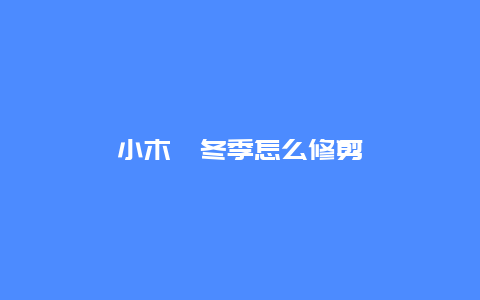 小木槿冬季怎么修剪