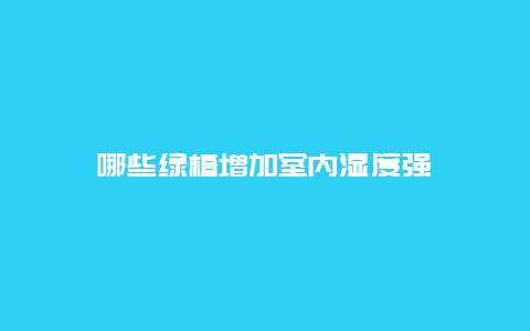 哪些绿植增加室内湿度强