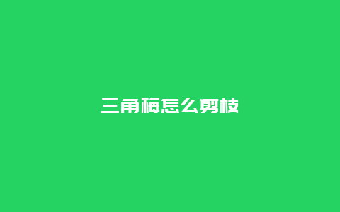 三角梅怎么剪枝