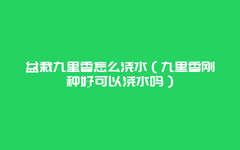 盆栽九里香怎么浇水（九里香刚种好可以浇水吗）