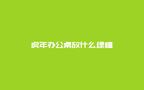 虎年办公桌放什么绿植