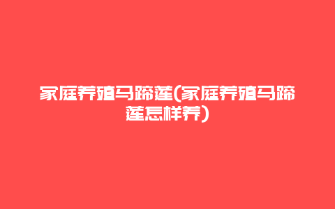 家庭养殖马蹄莲(家庭养殖马蹄莲怎样养)