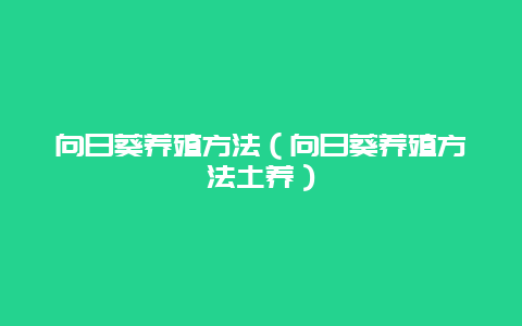 向日葵养殖方法（向日葵养殖方法土养）