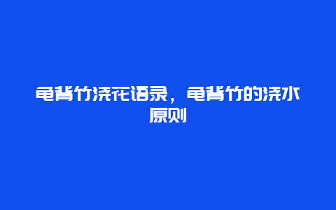 龟背竹浇花语录，龟背竹的浇水原则