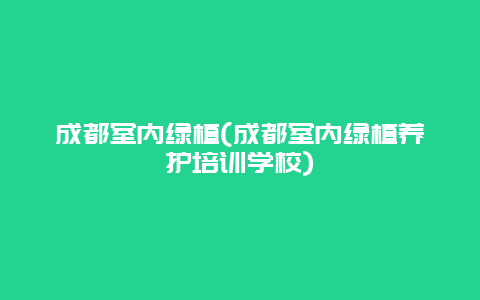 成都室内绿植(成都室内绿植养护培训学校)