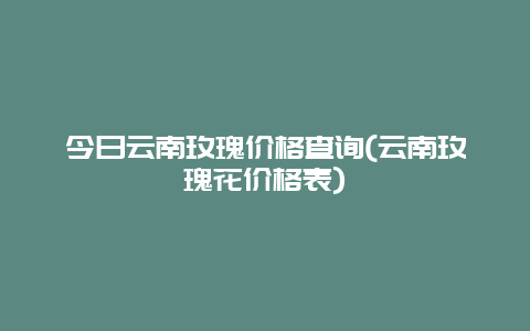 今日云南玫瑰价格查询(云南玫瑰花价格表)