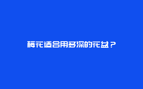 梅花适合用多深的花盆？