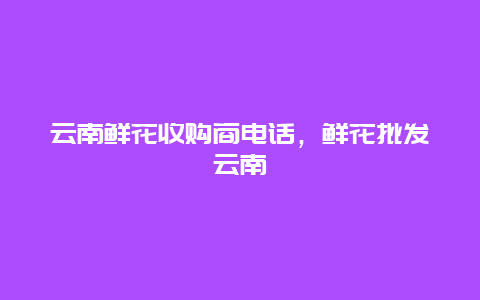 云南鲜花收购商电话，鲜花批发云南