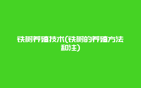 铁树养殖技术(铁树的养殖方法和注)