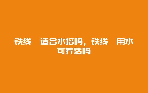 铁线蕨适合水培吗，铁线蕨用水可养活吗