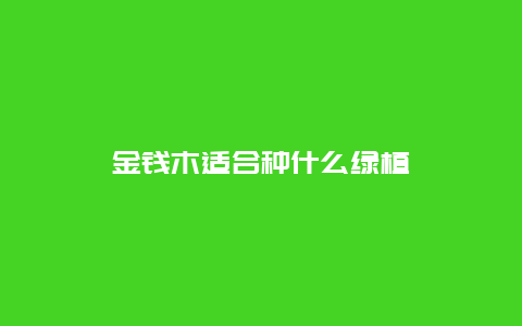 金钱木适合种什么绿植