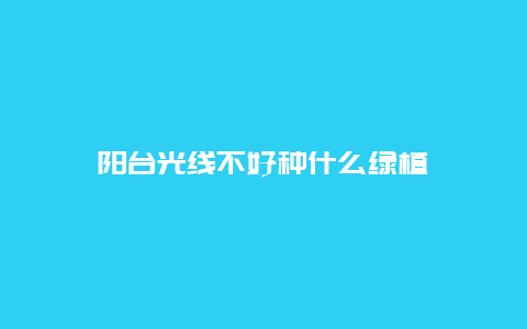 阳台光线不好种什么绿植