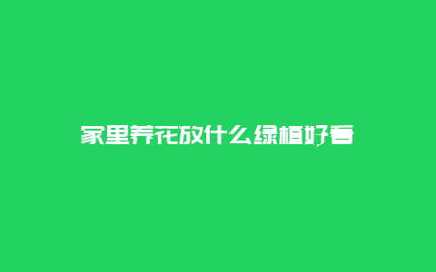 家里养花放什么绿植好看