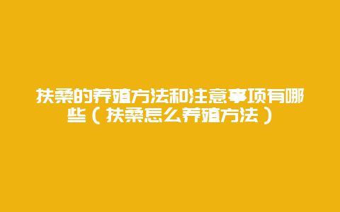 扶桑的养殖方法和注意事项有哪些（扶桑怎么养殖方法）