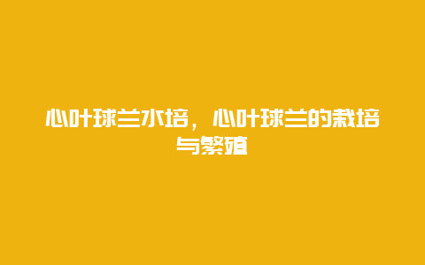 心叶球兰水培，心叶球兰的栽培与繁殖