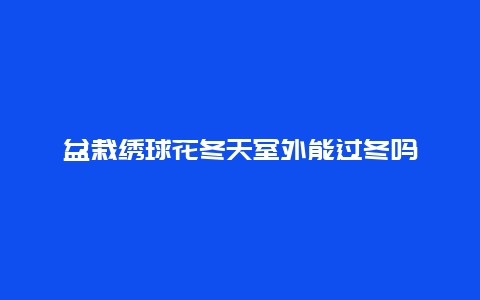 盆栽绣球花冬天室外能过冬吗