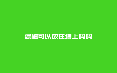 绿植可以放在墙上吗吗