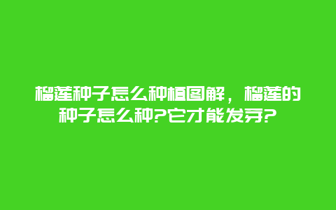 榴莲种子怎么种植图解，榴莲的种子怎么种?它才能发芽?