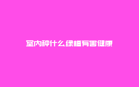 室内种什么绿植有害健康