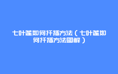 七叶莲如何扦插方法（七叶莲如何扦插方法图解）