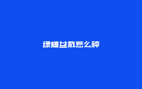 绿植盆栽怎么种