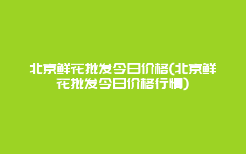 北京鲜花批发今日价格(北京鲜花批发今日价格行情)