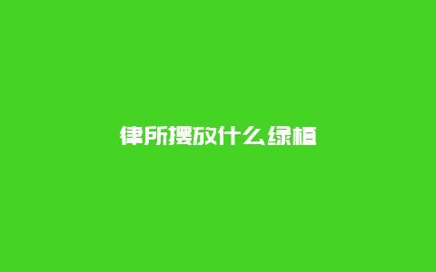 律所摆放什么绿植