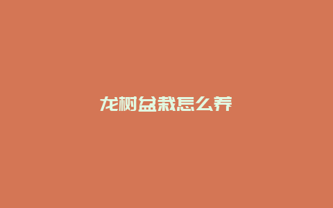 龙树盆栽怎么养