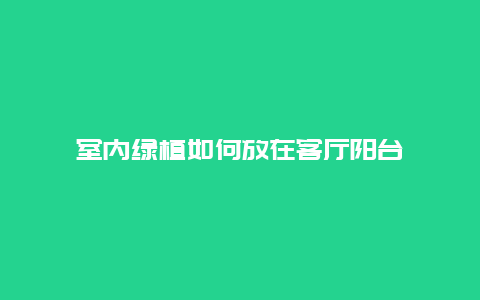 室内绿植如何放在客厅阳台