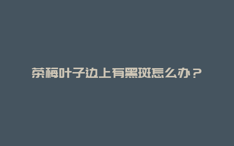 茶梅叶子边上有黑斑怎么办？