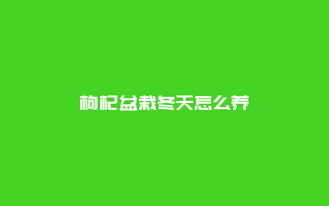 枸杞盆栽冬天怎么养