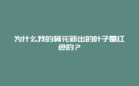 为什么我的梅花新出的叶子是红色的？